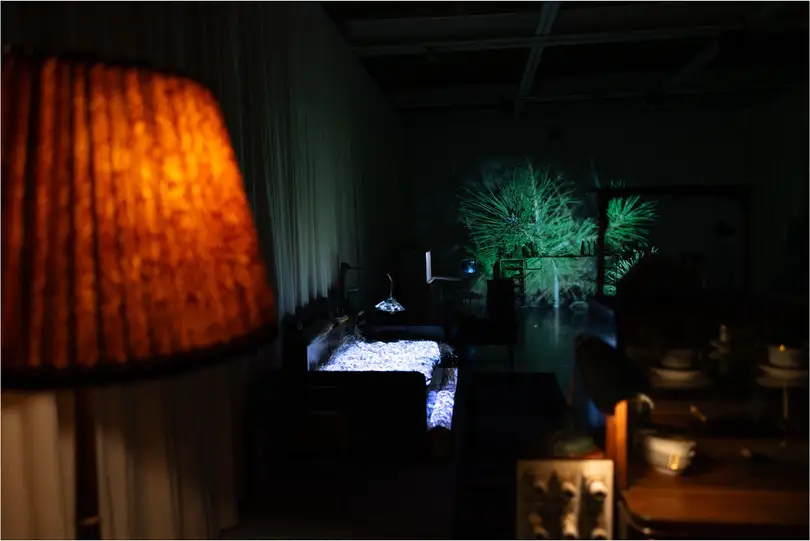 An orange lampshade glows in the foreground; beyond it a bed lit white and a projection of pine branches across the far wall.