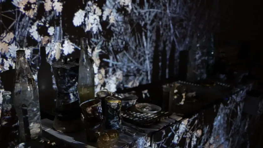 Bottles, a coffee pot and cups on a table, a projection of winter branches thrown across them and the wall behind.